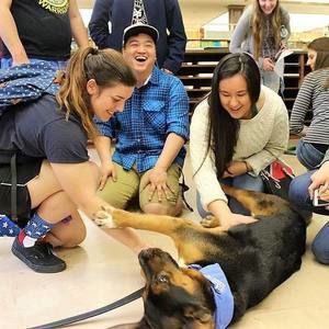 Meet your Posher, Lexi